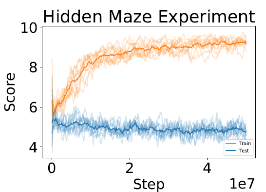 Hidden Maze Experiment Result