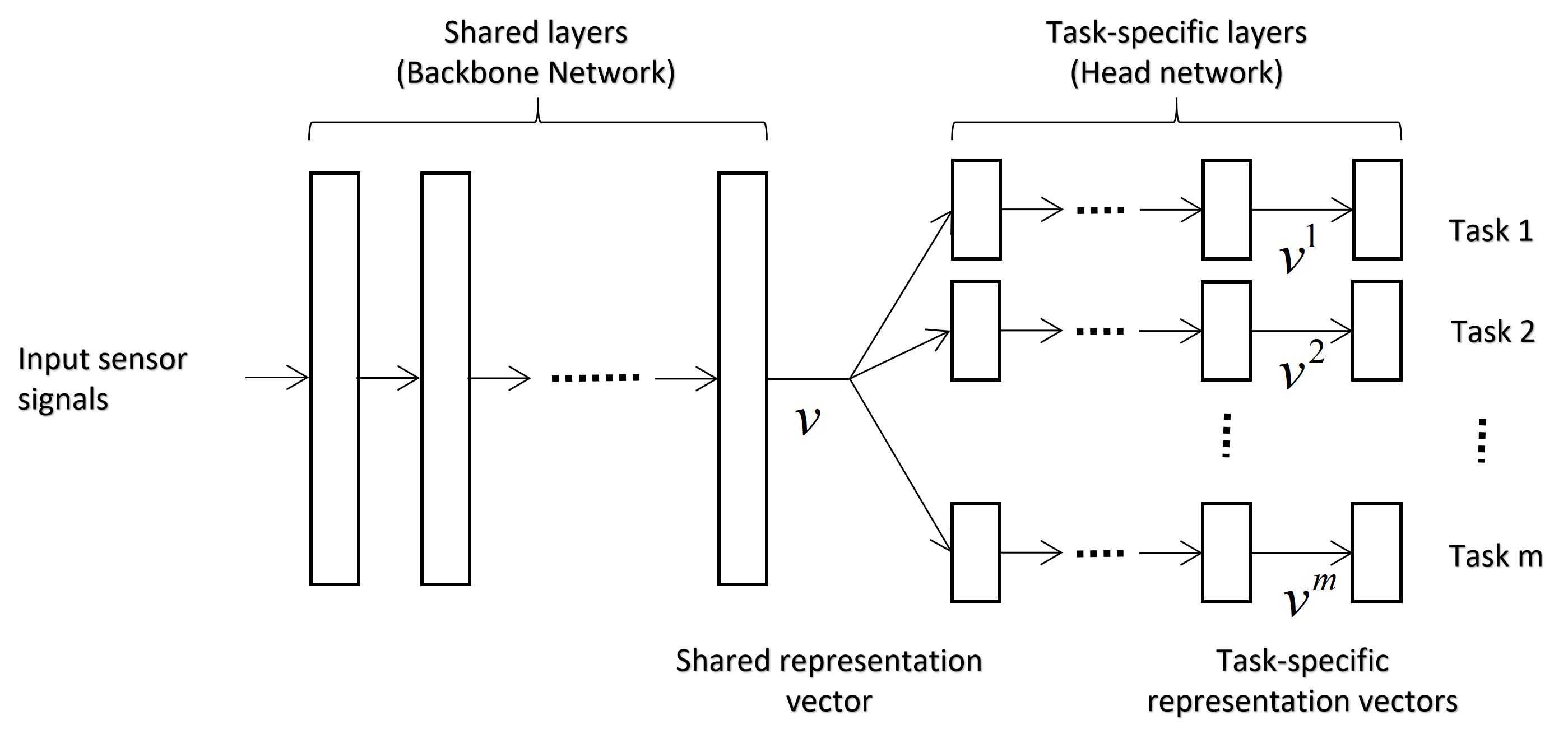 parameter sharing image