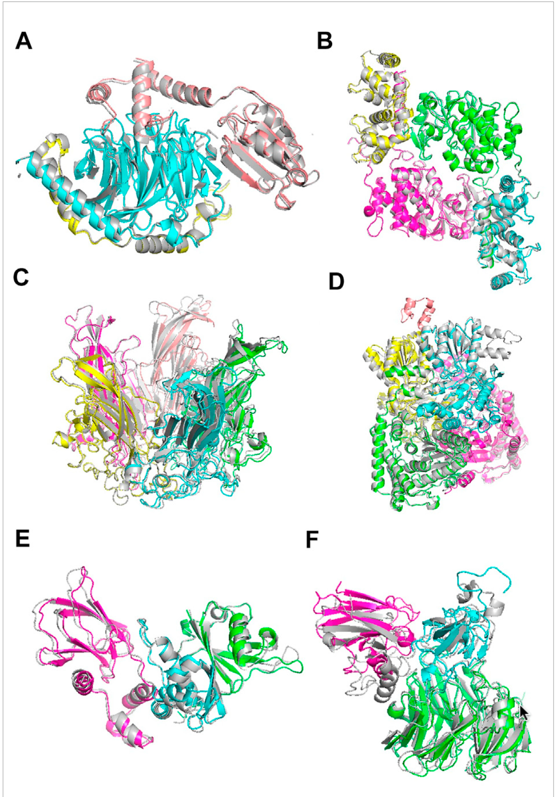 Example docking models